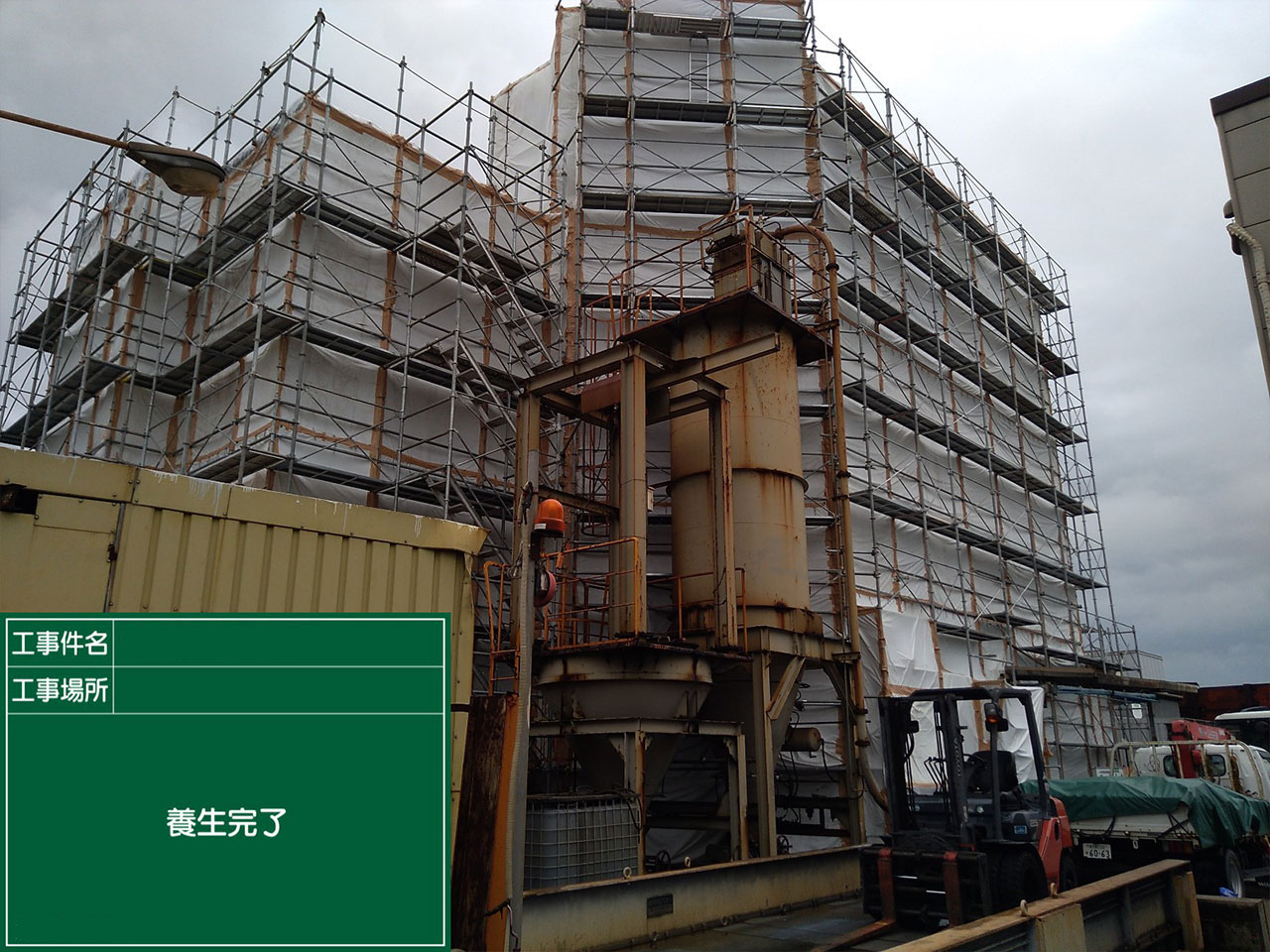 ダイオキシン除染