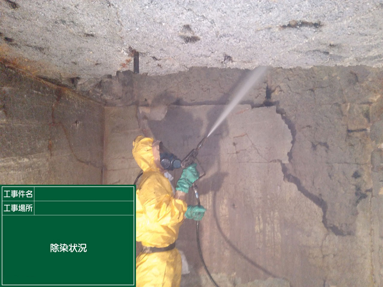 ダイオキシン除染